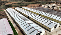 Estructura de Acero Prefabricada Personalizada y Ligera para Granjas, Establos para Cerdos, Ganado, Cabras, Pollos y Caballos - Servicios de Soldadura y Corte