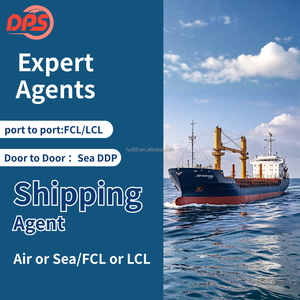 Services logistiques internationaux de transitaire de fret maritime de haute qualité pour l'expédition en Croatie Hongrie Irlande avec Ddp - Product Image 6