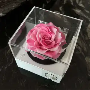 Zweifarbige riesige 9-10 cm große konservierte Rosen frische ewige rosa Rose in Bluetooth Lautsprecher für Freundinnen-Geschenke