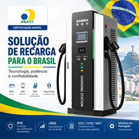 Chargeur rapide DC HAIDIRA 40kW-480kW pour le Brésil, conforme à la norme ANATEL, CCS2, OCPP, interface utilisateur portugaise, station de recharge pour véhicules électriques