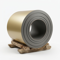Bobine d'acier laminé à froid prélaqué SGCC couleur personnalisée pour panneaux d'appareils électroménagers
