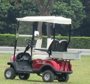 Kit Elettrico per Golf Cart a 4 Posti 36V 1200W con Telaio in Alluminio e Sedile Ribaltabile Posteriore - Product Image 5