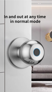 Cerradura Inteligente con Perilla y Huella Dactilar, Entrada sin Llave, WiFi, Control por Aplicación Tuya, para Puertas Interiores de Madera - Product Image 4