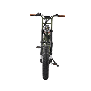Vélo électrique tout terrain Scrambler à suspension intégrale Cyclomoteur vert <span class=keywords><strong>jungle</strong></span> Vélo électrique avec <span class=keywords><strong>logo</strong></span> personnalisé Vélo électrique à gros pneus - Product Image 5