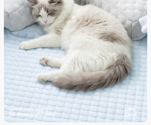 Upgraded <strong>Cool</strong> Ice Fabric Chew Resistant Pet Cooling <strong>Mat</strong> for Small Medium Large Dogs <strong>Cats</strong> Summer Sofa Rest Cushion - Product Image 6