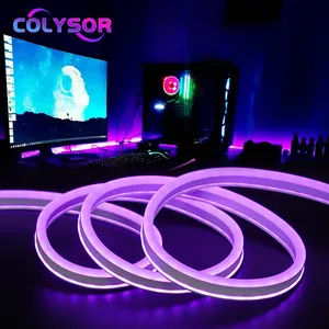 Personalizar Sinal de Neon Material Decorativo Lâmpada de Iluminação Lateral Flexível Fita Corda Tubo Silicone LED Neon 12 Volt 50m Strip Light