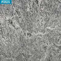 Carreaux de dalle de granit bleu platine martelé de buisson flammé poli aiguisé pour la décoration extérieure panneau mural comptoir de cuisine