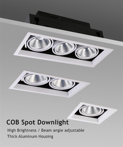 <span class=keywords><strong>Spot</strong></span> LED encastré ovale pour vitrine intérieure 2x20W, spots LED COB 10W 20W 30W, grille <span class=keywords><strong>double</strong></span> tête 2x20W - Product Image 2