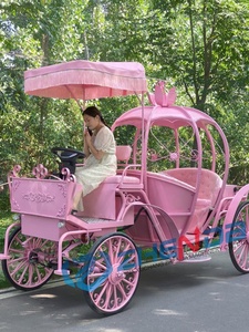 Pink Electric Princess Carriage With Floral Iron Art Tassel Awning For Wedding Scenic Sightseeing - Product Image 5