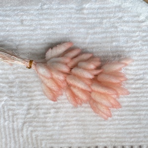 Vente en gros Queue de lapin conservée Fleur sèche Queues de lapin séchées <span class=keywords><strong>Lagurus</strong></span> Ovatus pour la décoration de mariage - Product Image 5