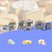 Chaîne de production de fromage à petite échelle avec cuve à fromage de 200 L, machine à fabriquer le fromage mozzarella et la margarine, cuve à fromage à vendre