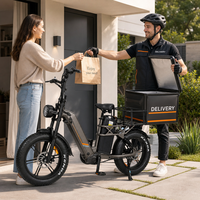 Vélo cargo électrique 2000W à double moteur 48V, double batterie, pneus larges 20*4.0, suspension intégrale, freins hydrauliques, vente en gros