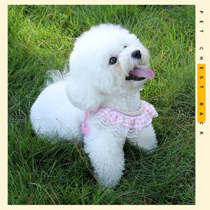 Nouvelle laisse de traction anti-évasion pour chat et petite chenille, sangle de poitrine réglable pour chien Teddy Bear, par le fabricant - Product Image 6