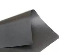Géomembrane HDPE en polyéthylène durable de qualité industrielle pour la conception de pisciculture extérieure/intérieure pour les fermes de crevettes en décharge