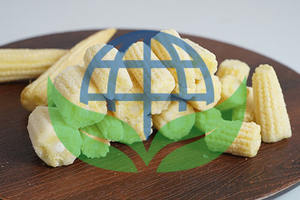 Espárragos Orgánicos Liofilizados en Trozos, de Alta Calidad para Uso Industrial y Servicios de Alimentación, Mejor Precio Oferta - Product Image 2