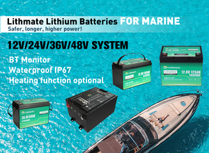 Batterie lithium 48V 200Ah pour moteur hors-bord de bateau électrique, puissance longue durée 48V 96V - Product Image 4