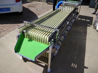 Klein Formaat Fruitgroente Sortering Sinaasappel Fruit Sortering Walnoot Olijf Sorteermachine