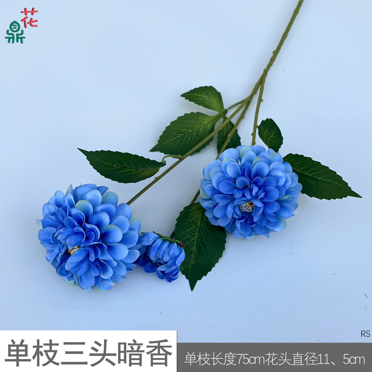 Fleur bleue RS à trois têtes, parfum sombre, tige unique.