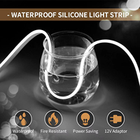 Luz de Neón LED RGB al por Mayor, DC 12V IP65 60LEDs/M, Flexible para Exteriores, Paisajes, Fiestas y Festivales