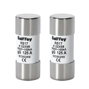 Saiffey RS17 500V 100KA Ceramic Material Cylindrical Fuse Link 22*58mm CE Cartridge Fuse