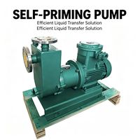 Pompe auto-amorçante à entraînement magnétique en acier inoxydable, spécifications personnalisées OEM/ODM, certifiée ISO, pour le transport de liquides chimiques anticorrosion