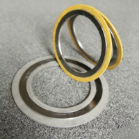 Joint d'étanchéité à bride métallique personnalisable en gros, en acier inoxydable SS304/SS316 avec filtre en graphite/PTFE, joint enroulé en spirale