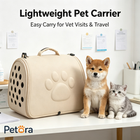 Sac de transport pliable Petora en EVA avec trous et motif patte en relief, sac de voyage portable pour petits chats et chiots, idéal pour les promenades en extérieur