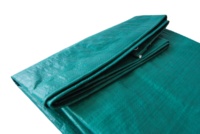 Bâche de piscine robuste anti-poussière en PE enduit, avec protection UV et imperméable, bleue, pour garçons et filles