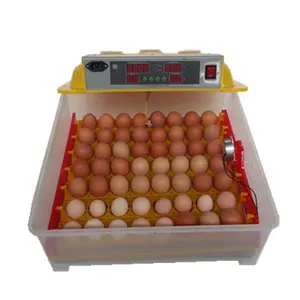 Mini incubadora para ovo de frango/zhenghangor, mini incubadora ZH-56 com preço baixo