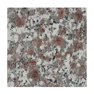 Schneeflocken pflaumenroter Granit g608 Platten für Wand- und Bodenfliesen