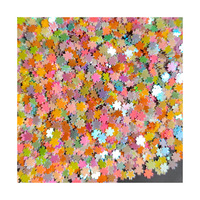 Vente en gros 250g/Lot Fleurs de coquillages, Étoiles, Paillettes en vrac, Perles à coudre, Paillettes, Confettis, Accessoires et décorations 3D pour ongles