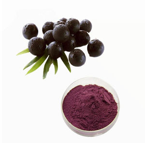factory wholesale price black elderberry extract 2-25%