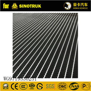 SINOTRUK <span class=keywords><strong>HOWO</strong></span> ट्रक स्पेयर पार्ट्स इंजन रेडिएटर WG9719530231 - Product Image 5