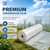Lámina de Plástico LDPE para Invernadero, 200 Micras, Resistente a los Rayos UV, Moldeada por Extrusión y Soplado, para Cultivo de Tomates y Vegetales, para Invierno