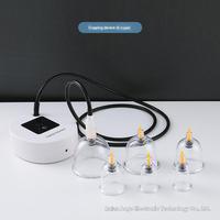 Appareil de massage par ventouses électrique pour usage domestique, outil de soin personnel, outil de compression par ventouses