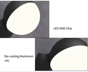 Sunsir-Applique Murale LED Moderne SKD, Nouvelle Applique Murale Rechargeable pour Extérieur, Hôtel de Luxe, Salon, Chevet - Product Image 6