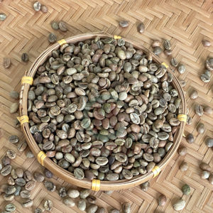 Vietnam Robusta Green Coffee <b>Beans</b> Size 16 AA+ High Quality Pure Natural Bulk Export 60kg PP <b>Bags</b> Wholesale - Product Image 1