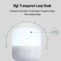 Ampoule LED rechargeable pratique et à charge rapide pour l'extérieur, idéale pour les barbecues