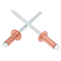 Bouchon en cuivre, fer, métal, acier, noyau en aluminium, mandrin de traction, tête ronde, extrémité ouverte, Rivets Pop store DIN7337
