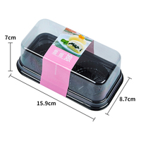 Kotak Sandwich Mini PET Transparan, Kotak Penyimpanan Makanan Plastik, Buatan Guangdong, Kotak Takoyaki