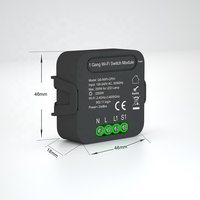 Nouvelle Arrivée CE 15 mois de Garantie Bon Marché 10A 1 Gang Tuya WiFi Activer À Distance Sans Fil Commutateur de Relais Module Noir sans MOYEU