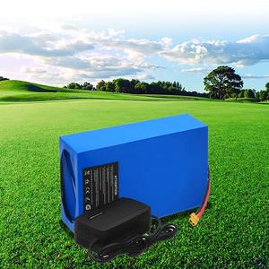 Pacco batteria agli ioni di litio personalizzabile 12V 24V 36V 48V 60V 72V Golf E-bike Scooter per bicicletta elettrica - Product Image 1