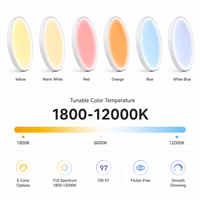 Nuevo Modelo 2026, Lámpara de Techo LED Skyline Moderna de Aluminio con Efecto Dinámico para Hogar y Oficina, 60W, 1800-12000K, CRI>95, IP40, 5 Años de Garantía