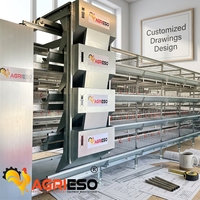 Nouvelles solutions personnalisées de cages à poules pondeuses automatiques de type H, anti-corrosion, capacité 32/40 oiseaux, pour élevages commerciaux de volailles.