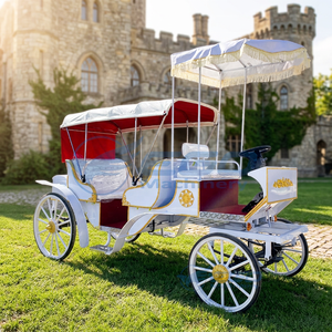Fabricant chinois de calèches électriques élégantes et luxueuses sur mesure, calèche royale de tourisme Victoria avec éclairage, à vendre - Product Image 1