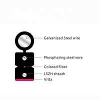 Kabel Komunikasi GJXH GJXFH Fibra Drop 1 2 4 Hilo 6 8 12 Core Indoor Steel Wire/FRP FTTH Fiber Optic Drop Cable Harga Murah