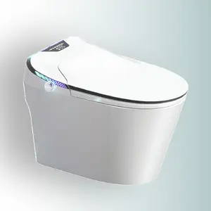 BAILU A-786H lüks modern zemin montaj akıllı tuvalet akıllı tuvalet japon tuvalet duş klozet kapağı