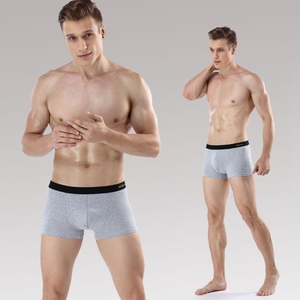 Confezione da 4 Boxer da <span class=keywords><strong>Uomo</strong></span> in Cotone, Pantaloncini da Notte, Intimo, Slip, Boxer da <span class=keywords><strong>Uomo</strong></span> Taglie Forti - Product Image 4