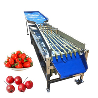 Machine de tri et de calibrage des mangues en acier inoxydable 304, machine de tri des fruits mûrs (lychees, petits mangues)