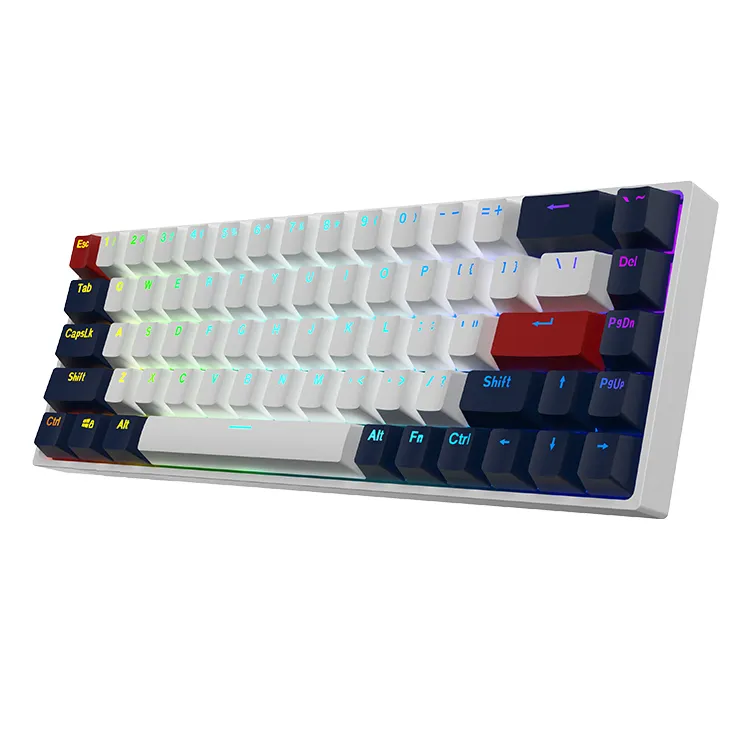 PBT Computer Mini Keyboard Colorful LED Backlit 68 Keys RGB Gaming 60% Mechanical Keyboard